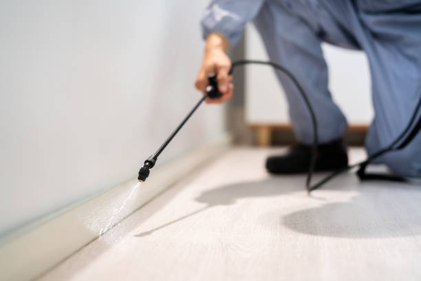 Licensed Cockroach Control service in Clover, SC - Nex Pest Control