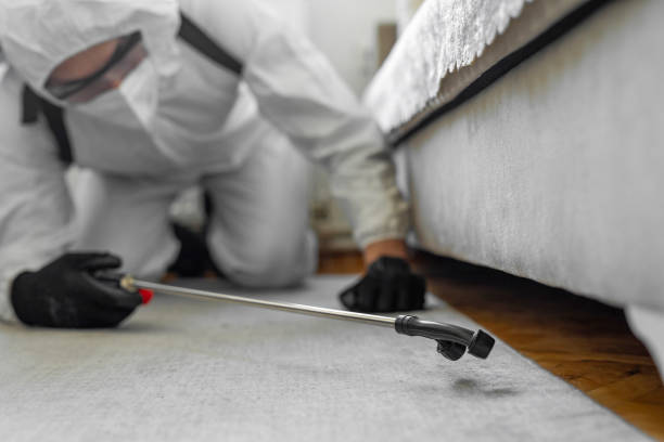 Professional Cockroach Control technician working in Clover, SC