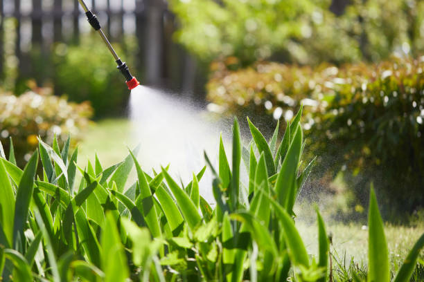 24/7 Emergency Cockroach Control experts in Clover, SC