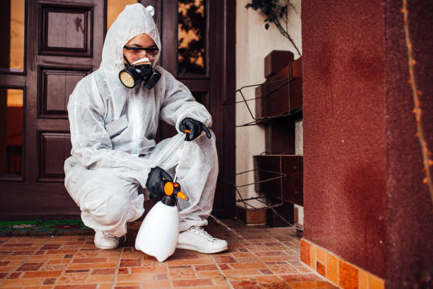 Reliable Cockroach Control contractor in Clover, SC by Nex Pest Control