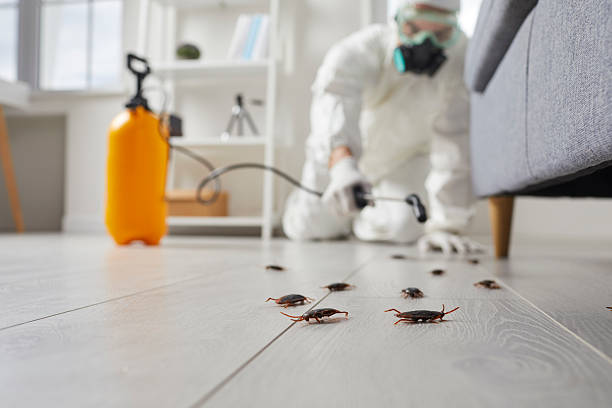 Affordable Cockroach Control solutions in Clover, SC